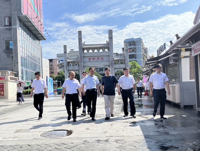 湖南省文化和旅游廳黨組副書記、副廳長、省文物  局長陳遠平調研湖南建投·裕后里項目
