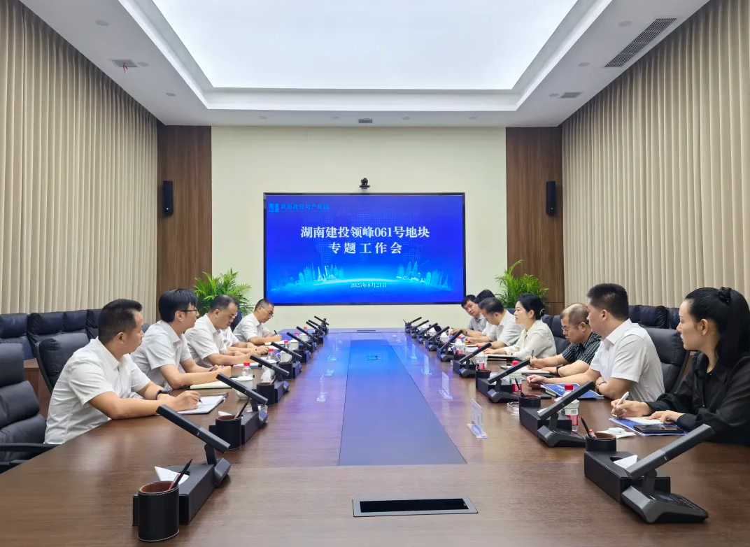 公司召開(kāi)湖南建投領(lǐng)峰061號(hào)地塊項(xiàng)目專題工作會(huì)