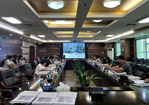 建工有我 我必建功 | 馬家坪棚改項(xiàng)目順利通過規(guī)劃條件論證、修建性詳細(xì)規(guī)劃及建筑設(shè)計(jì)評(píng)審會(huì)