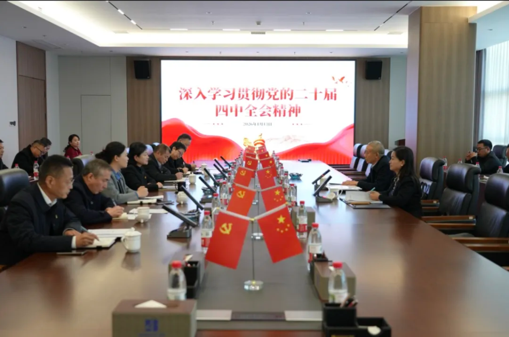 集團總經(jīng)濟師彭益民到公司宣講黨的二十屆四中全會精神并開展工作調研