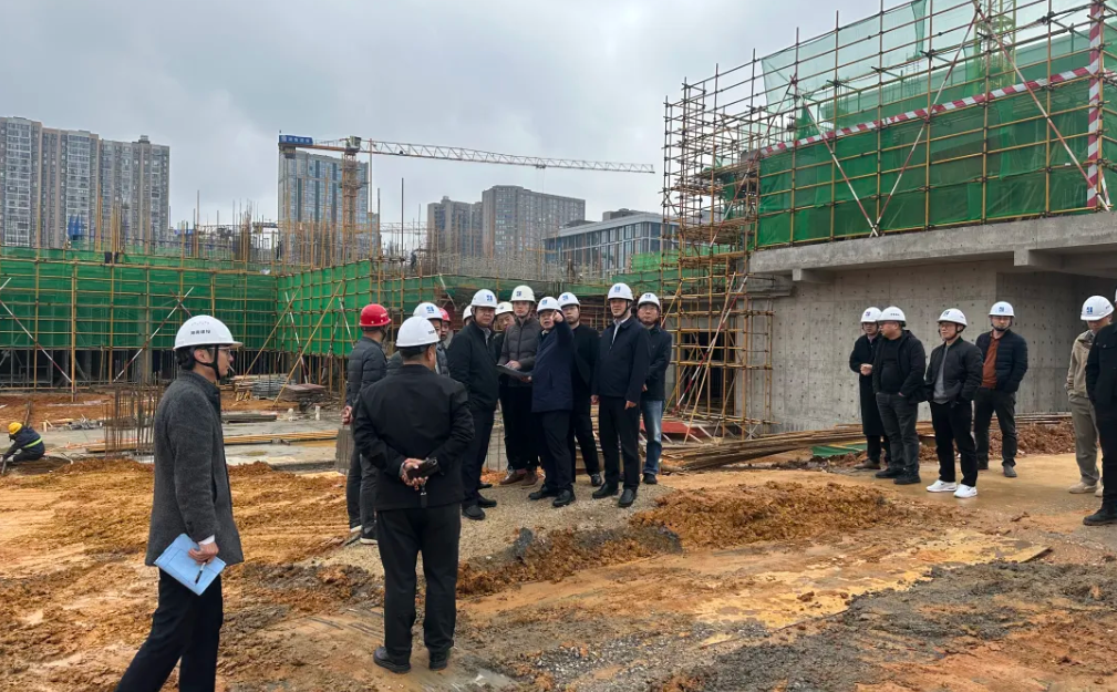 陽繼承帶隊赴湖南建投·領樾府項目開展工作調度