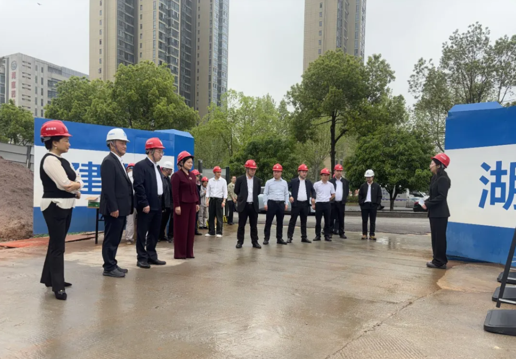 譚民俊帶隊調(diào)研湖南建投·云璽臺項目