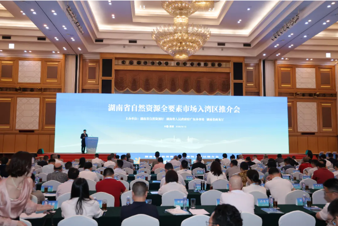 領(lǐng)創(chuàng)數(shù)智中心項(xiàng)目亮相湖南省自然資源全要素市場(chǎng)入灣區(qū)推介會(huì)